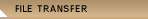 Client Access and Ftp Site